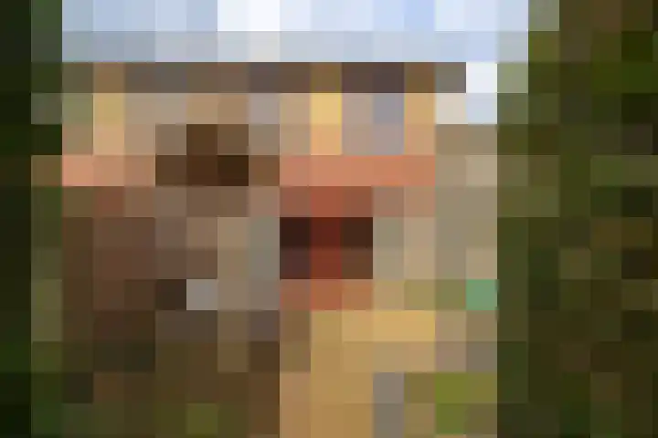 Donaudal 27 Doetinchem thumbnail 16
