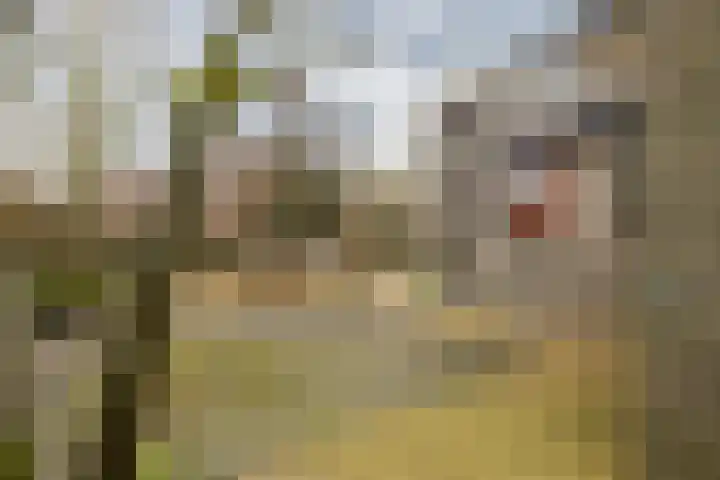 Donaudal 27 Doetinchem thumbnail 20