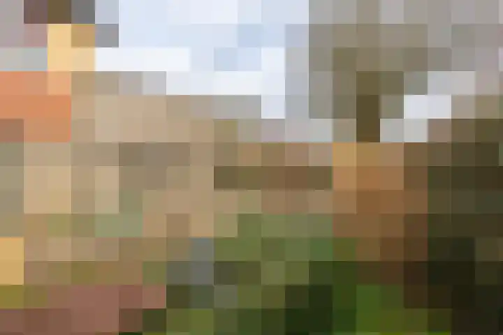 Donaudal 27 Doetinchem thumbnail 21