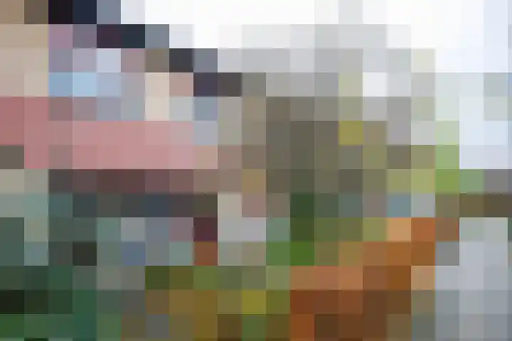 Donaudal 31 Doetinchem thumbnail 33