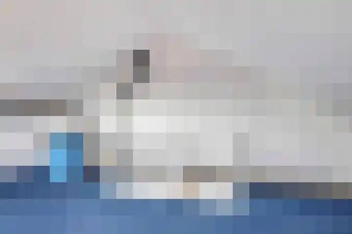 Donaudal 44 Doetinchem thumbnail 43