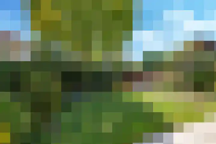Donaudal 59 Doetinchem thumbnail 61