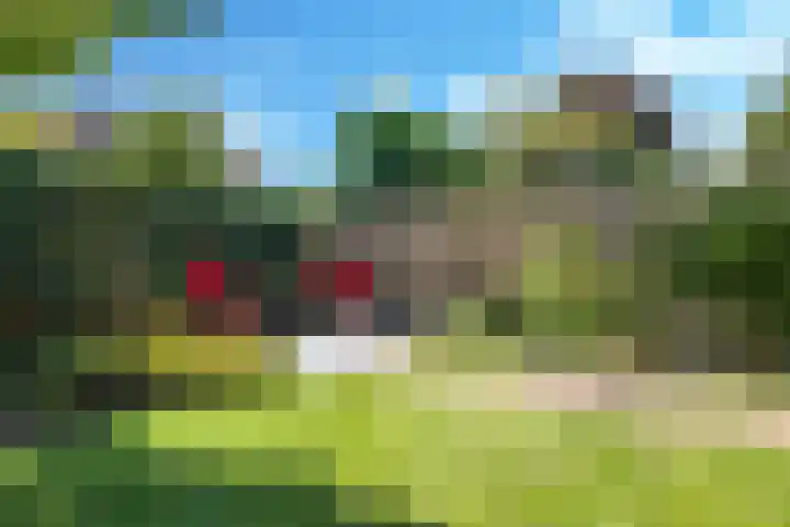 Donaudal 59 Doetinchem thumbnail 62