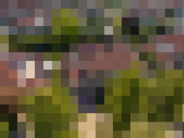 Donaudal 59 Doetinchem thumbnail 65