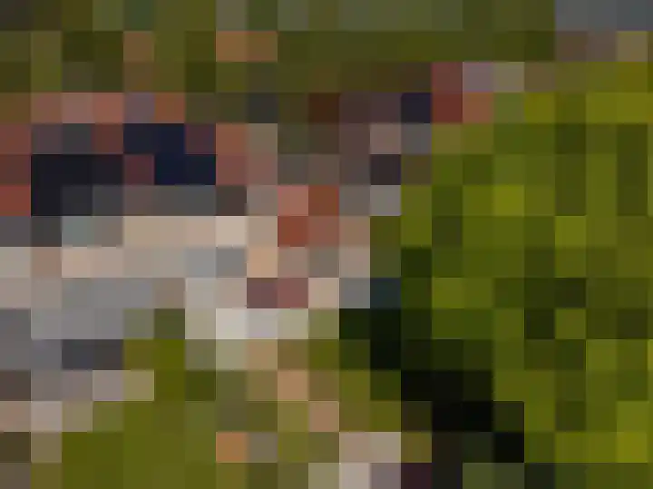 Donaudal 59 Doetinchem thumbnail 66
