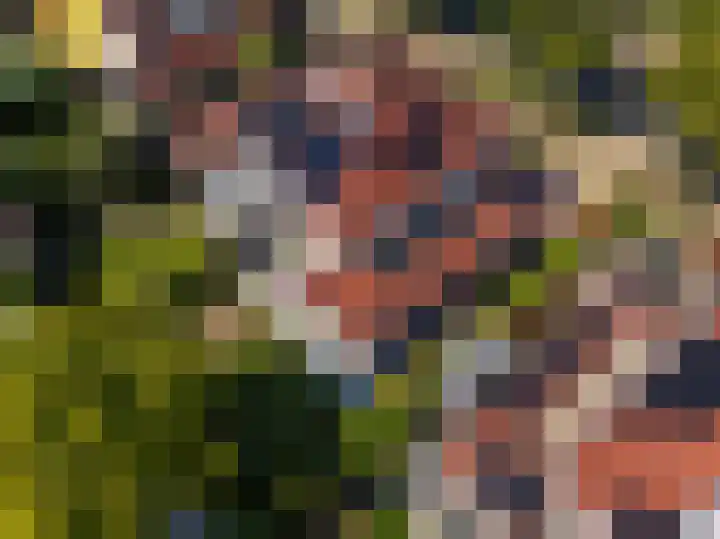 Donaudal 59 Doetinchem thumbnail 67
