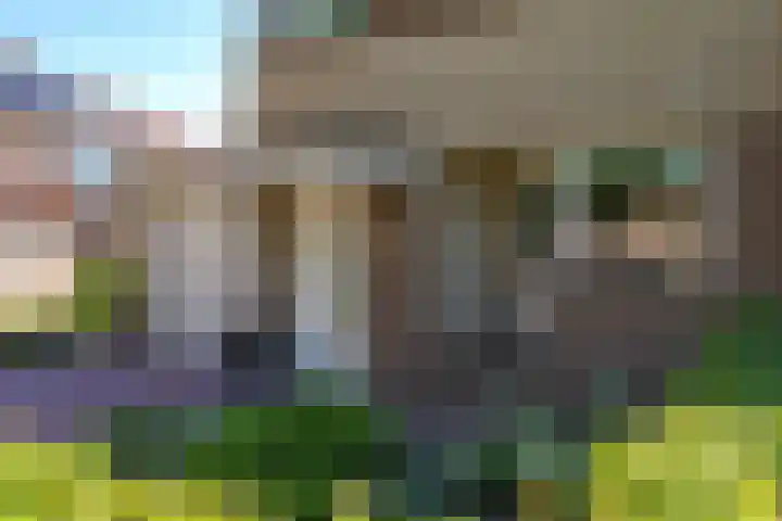 Donaudal 59 Doetinchem thumbnail 7