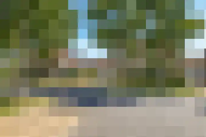 Donaudal 59 Doetinchem thumbnail 73