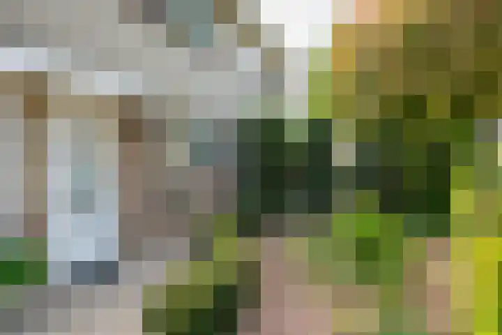 Donaudal 79 Doetinchem thumbnail 11