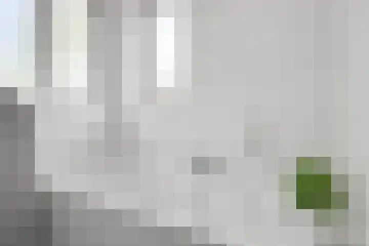 Donaudal 79 Doetinchem thumbnail 33