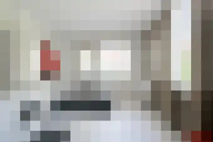 Donaudal 79 Doetinchem thumbnail 40