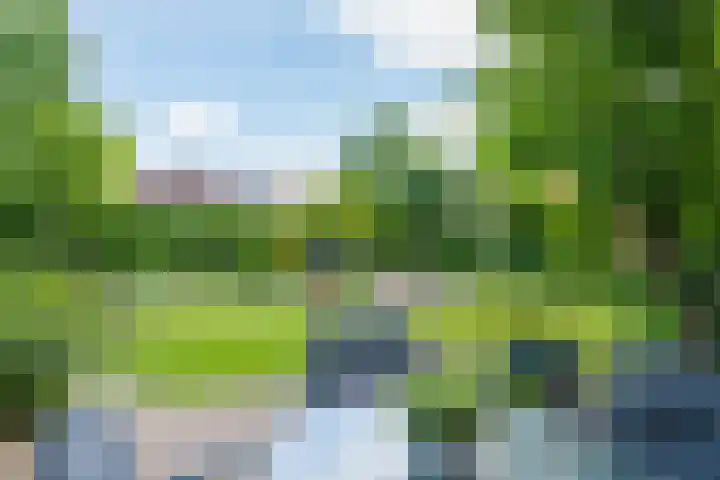 Donaudal 79 Doetinchem thumbnail 42