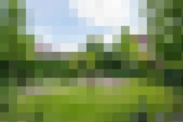 Donaudal 79 Doetinchem thumbnail 43