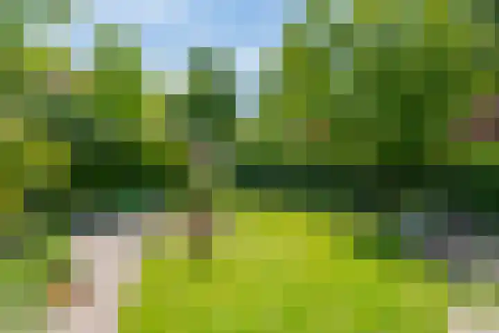Donaudal 79 Doetinchem thumbnail 44
