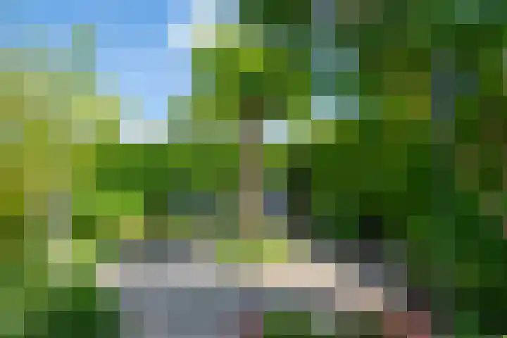 Donaudal 79 Doetinchem thumbnail 47