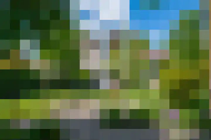 Donaudal 79 Doetinchem thumbnail 48