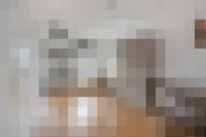 Donaudelta 1 Purmerend thumbnail 14
