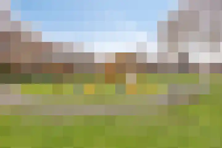 Donaudelta 1 Purmerend thumbnail 31