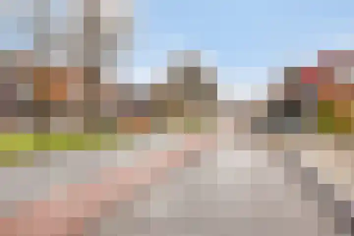 Donaudelta 1 Purmerend thumbnail 34