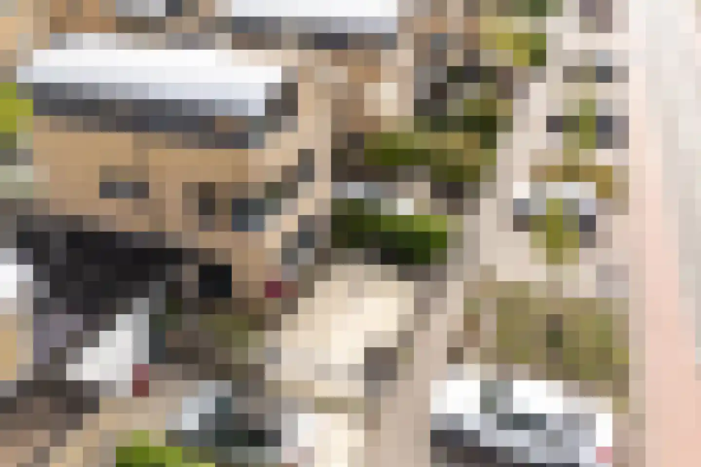 Donaulaan 104 Purmerend thumbnail 58