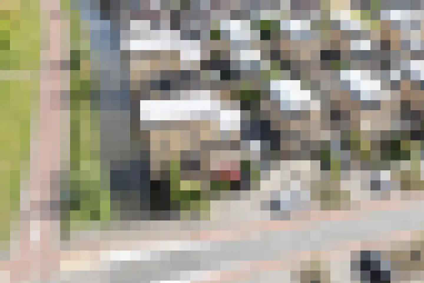 Donaulaan 104 Purmerend thumbnail 61