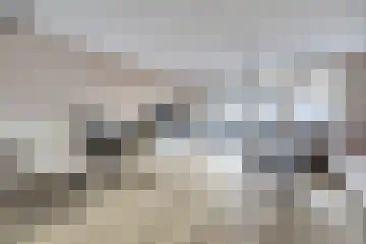 Donaulaan 122 Spijkenisse thumbnail 12