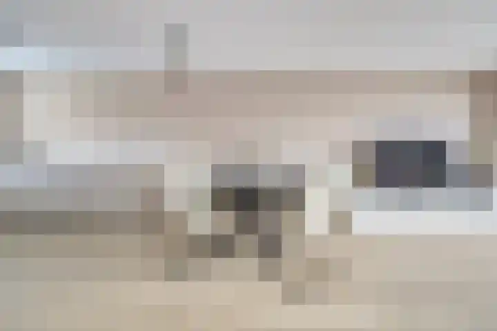 Donaulaan 122 Spijkenisse thumbnail 13