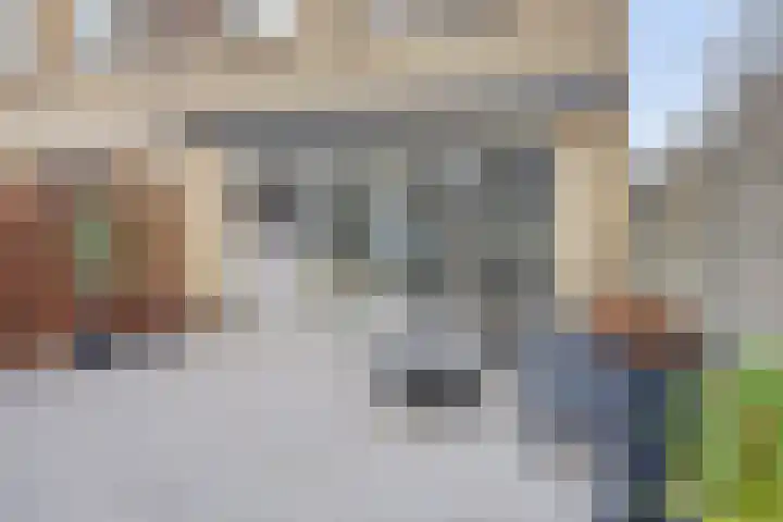 Donaulaan 122 Spijkenisse thumbnail 20