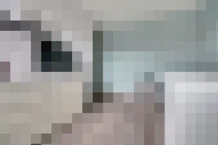 Donaulaan 122 Spijkenisse thumbnail 28