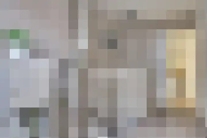 Donaulaan 122 Spijkenisse thumbnail 32