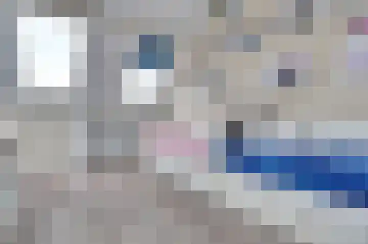 Donaulaan 122 Spijkenisse thumbnail 34