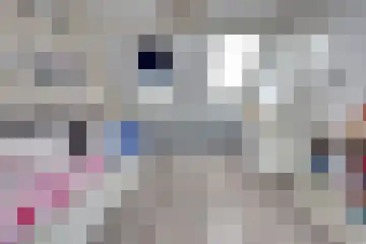 Donaulaan 122 Spijkenisse thumbnail 35