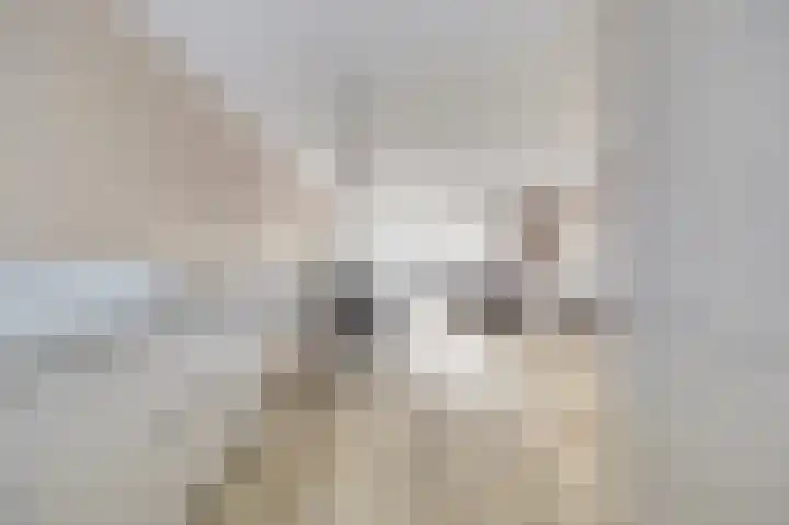 Donaulaan 122 Spijkenisse thumbnail 5