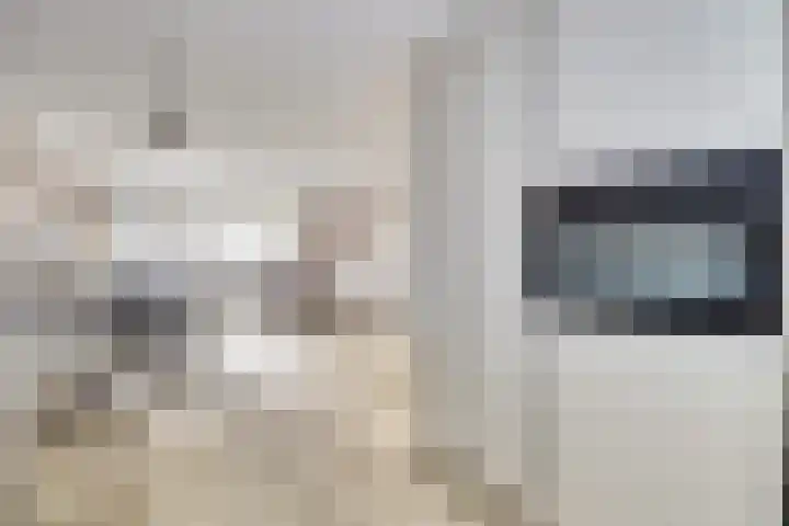 Donaulaan 122 Spijkenisse thumbnail 6