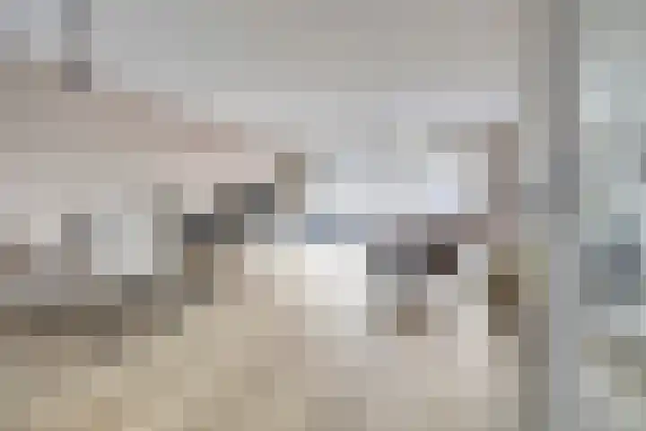 Donaulaan 122 Spijkenisse thumbnail 7
