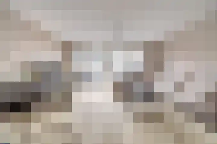 Donaulaan 122 Spijkenisse thumbnail 9