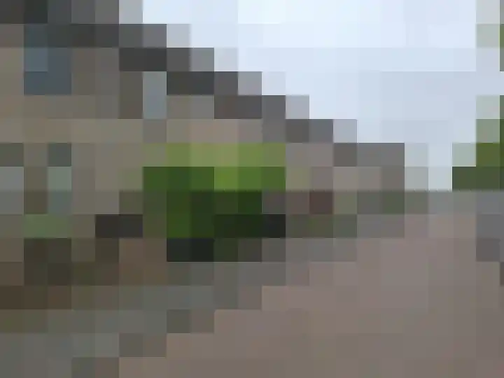 Donaulaan 16 Spijkenisse thumbnail 11