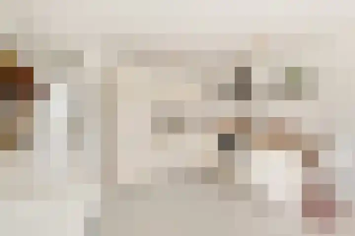 Donaulaan 16 Spijkenisse thumbnail 6
