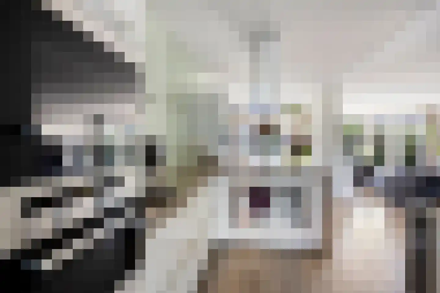 Donaulaan 20 Purmerend thumbnail 5