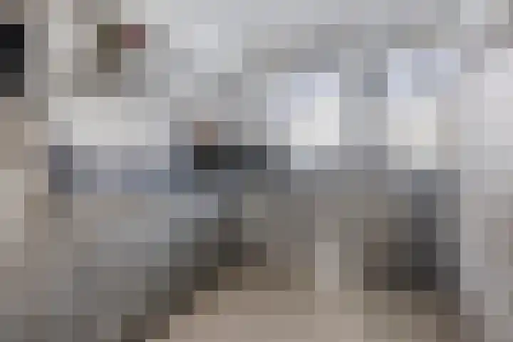 Donaulaan 30 Spijkenisse thumbnail 7