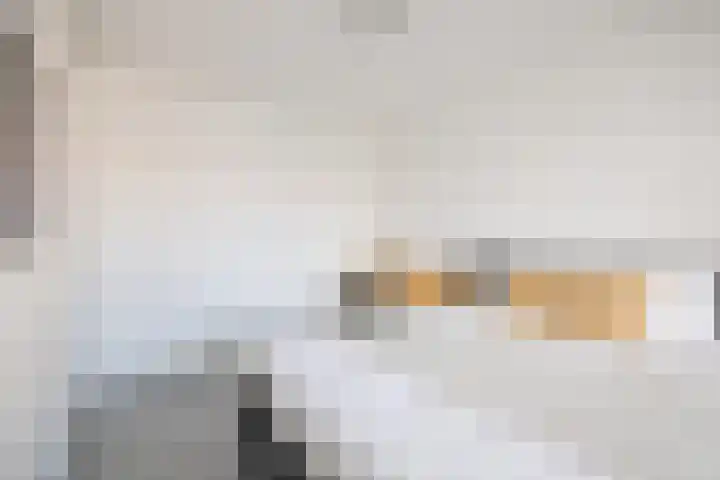 Donaulaan 39 Purmerend thumbnail 22