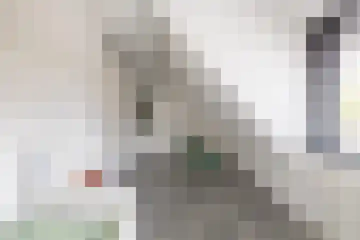 Donaulaan 39 Purmerend thumbnail 24