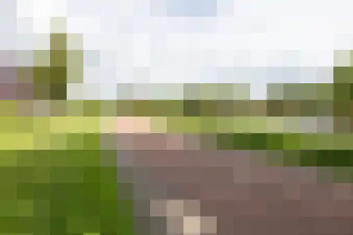 Donaulaan 39 Purmerend thumbnail 45