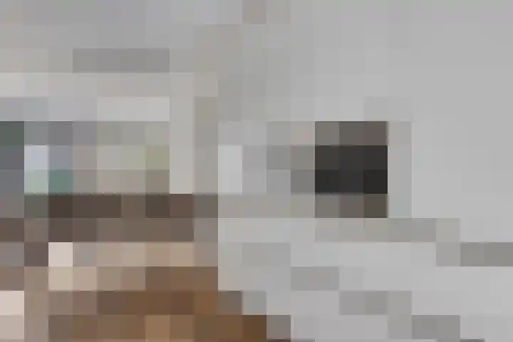 Donaulaan 48 Purmerend thumbnail 9