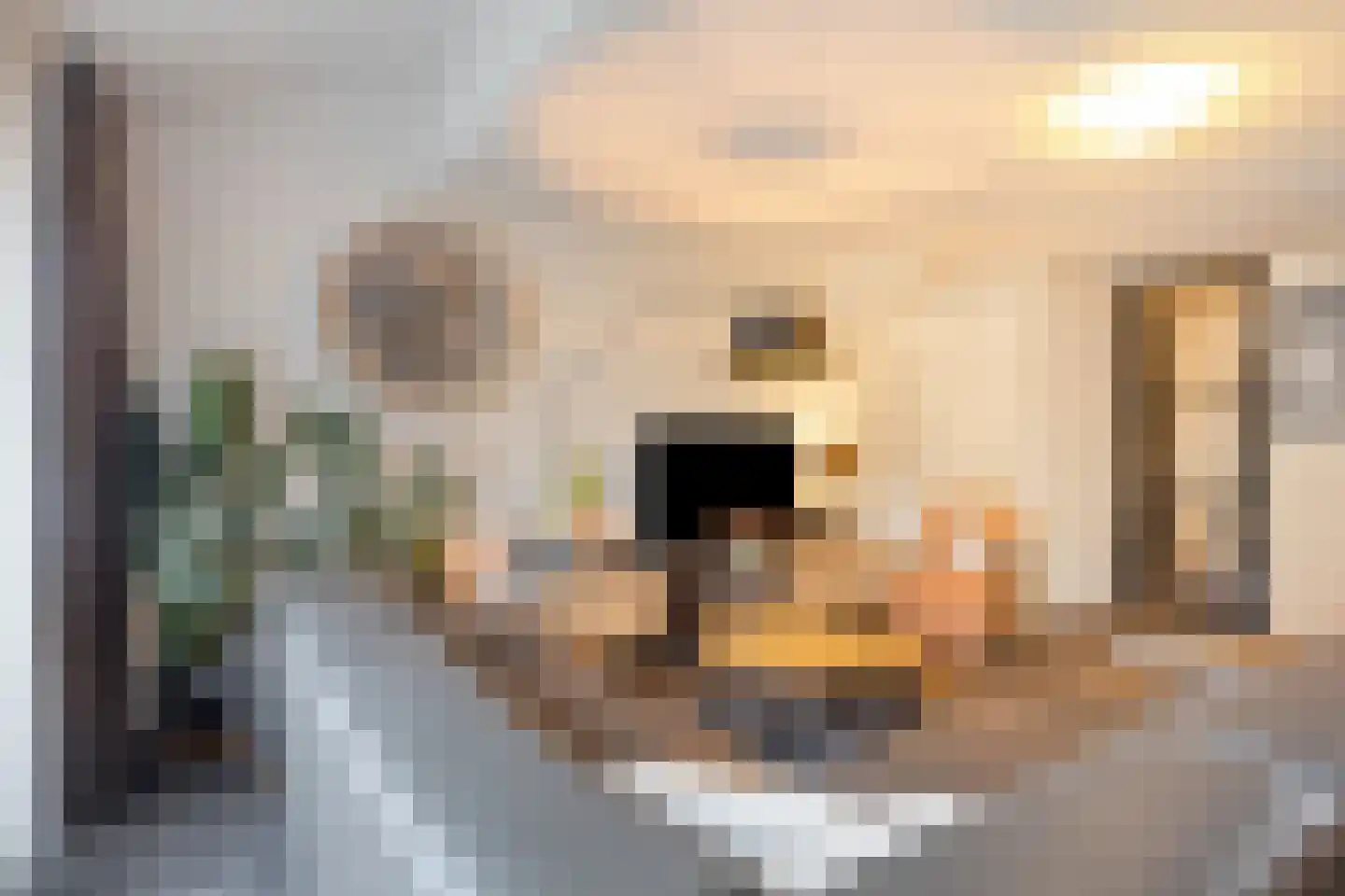 Donaulaan 60 Purmerend thumbnail 12