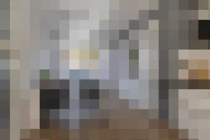 Donaulaan 8 Purmerend thumbnail 13
