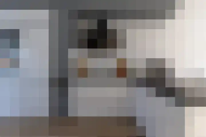 Donaulaan 8 Purmerend thumbnail 15