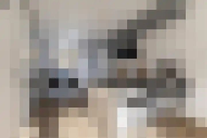 Donaulaan 8 Purmerend thumbnail 16