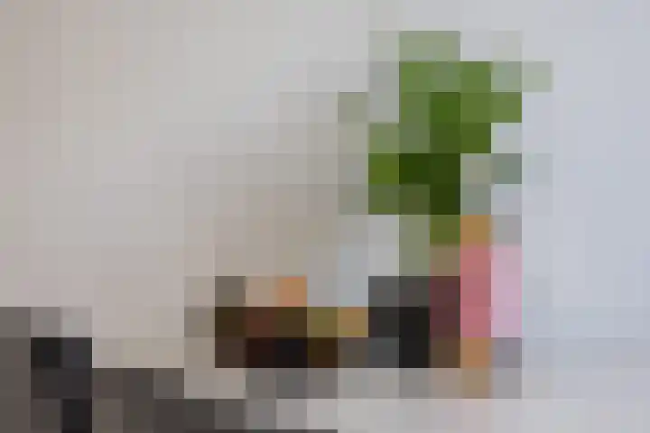Donaulaan 8 Purmerend thumbnail 18