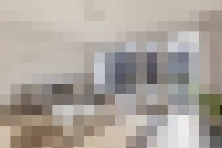 Donaulaan 8 Purmerend thumbnail 21